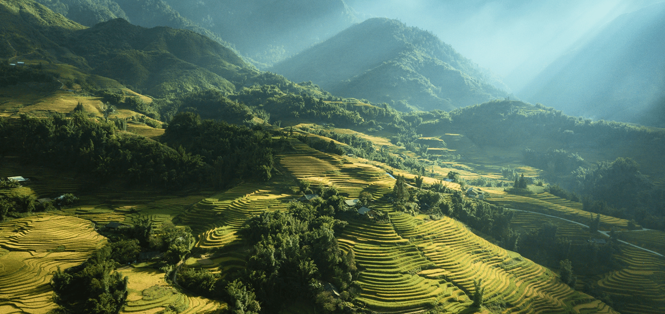 Explora las maravillas de